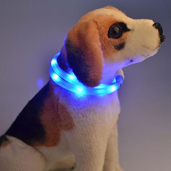dog collar led charging tube usb night flashing luminous collars cat safety battery powered & leashes
dog collar led charging tube usb night flashing luminous collars cat safety battery powered & leashes
