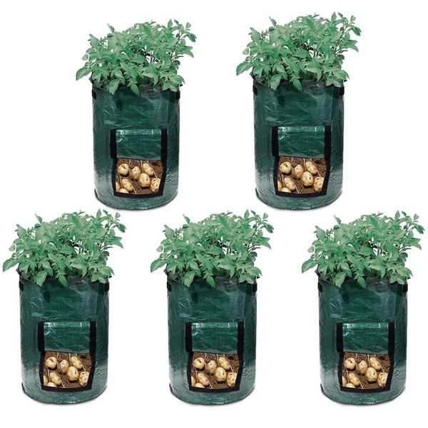 potato planting bag, pe 10-gallon garden vegetable planter with handle for indoor and outdoor (pack of 5) planters & pots
potato planting bag, pe 10-gallon garden vegetable planter with handle for indoor and outdoor (pack of 5) planters & pots