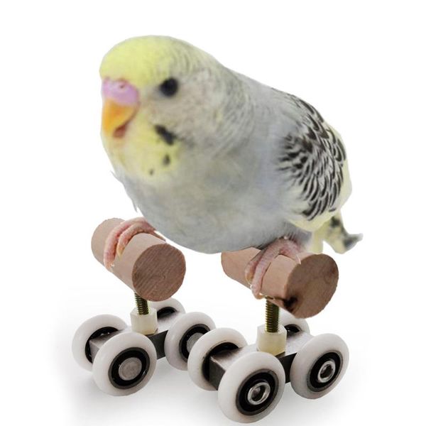 parrot intelligence toys mini training pulley for budgies parakeet growth funny toy grinding claw other bird supplies
parrot intelligence toys mini training pulley for budgies parakeet growth funny toy grinding claw other bird supplies