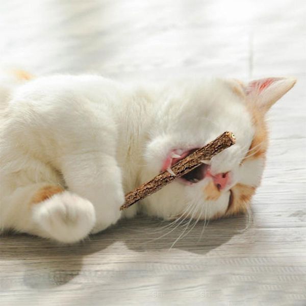cat toys #48 5 different color catnip plush plus 10 sticks pet toy set accessoires cats pour chats animaux domestiques
cat toys #48 5 different color catnip plush plus 10 sticks pet toy set accessoires cats pour chats animaux domestiques