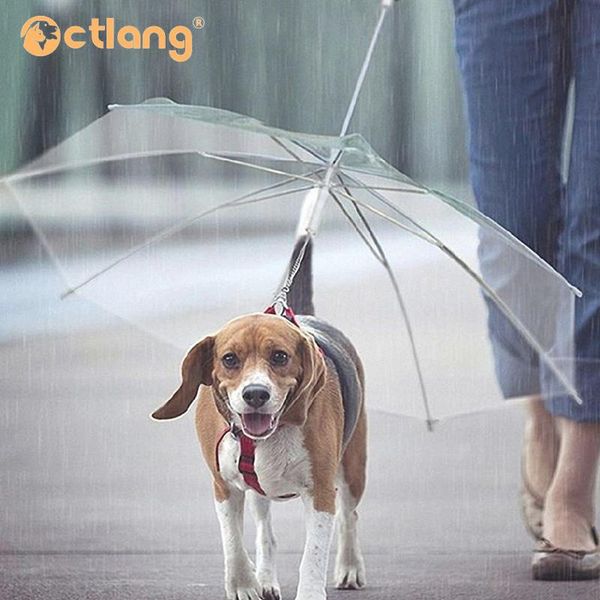 dog apparel small and medium cat traction transparent umbrella walking the out waterproof poncho
dog apparel small and medium cat traction transparent umbrella walking the out waterproof poncho