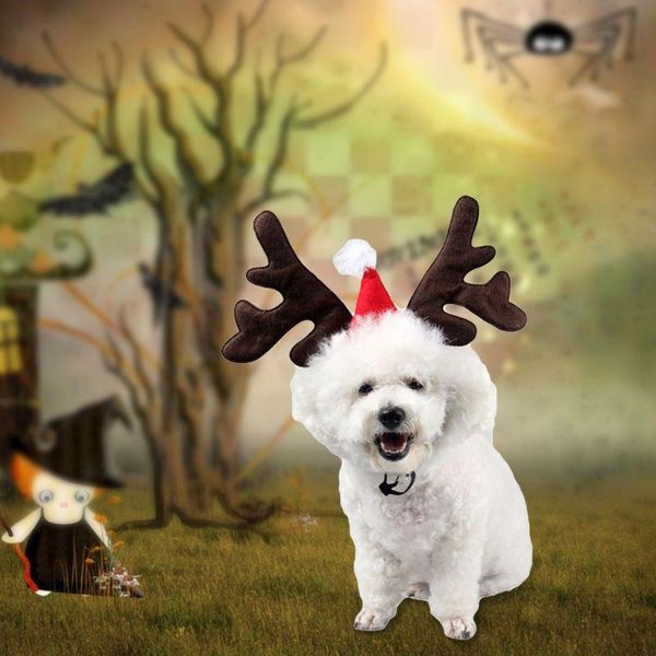 christmas pet headband deer horn hat costume dog puppy cat cosplay party product w0yc costumes
christmas pet headband deer horn hat costume dog puppy cat cosplay party product w0yc costumes