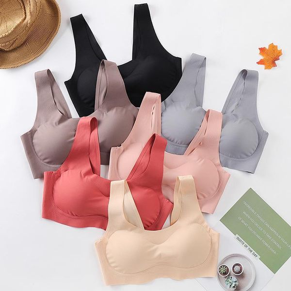 bras the original thailand latex elastic non-trace 1.0 a chip without rims together comfortable sports bra, Red;black
bras the original thailand latex elastic non-trace 1.0 a chip without rims together comfortable sports bra, Red;black