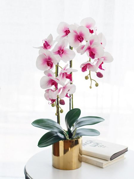 phalaenopsis represents pure love,suitable for their favorite people,el wedding decoration,room decoration,po props fl0009 decorative flower
phalaenopsis represents pure love,suitable for their favorite people,el wedding decoration,room decoration,po props fl0009 decorative flower