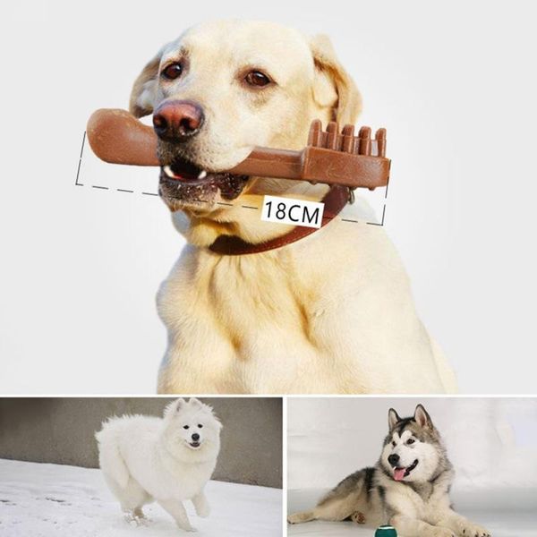 dog molars bone bite resistant glue large golden hair teeth cleaning stick small animal supplies
dog molars bone bite resistant glue large golden hair teeth cleaning stick small animal supplies