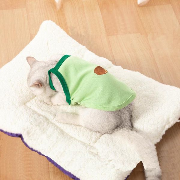 avocado color vest for cats summer cute cat clothes pet dog cooling breathable sphynx cotton puppy t shirt costumes
avocado color vest for cats summer cute cat clothes pet dog cooling breathable sphynx cotton puppy t shirt costumes