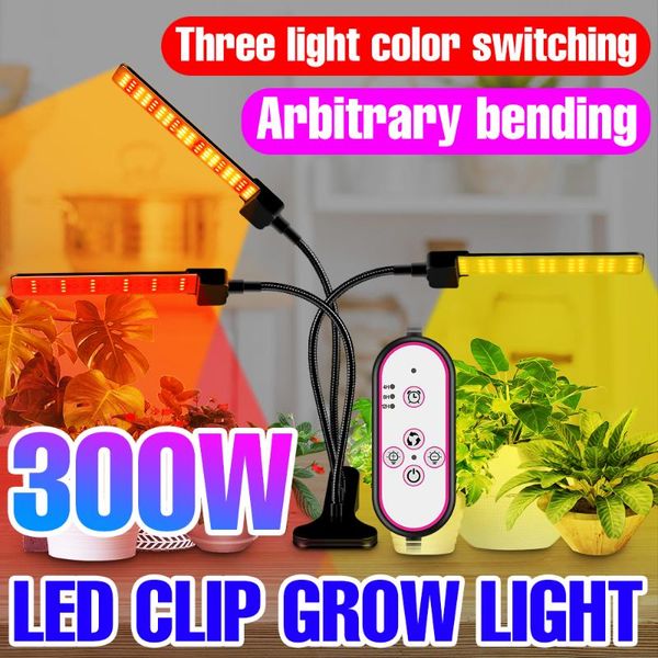 grow lights phyto plant seedling lamp full spectrum 12v hydroponic bombilla fito lampara led greenhouse growth tent bulbs
grow lights phyto plant seedling lamp full spectrum 12v hydroponic bombilla fito lampara led greenhouse growth tent bulbs