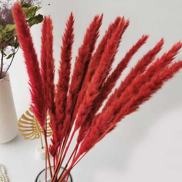 decorative flowers & wreaths 15pcs bulrush natural dried small pampas grass phragmites artificial plants home party decoration wedding acces
decorative flowers & wreaths 15pcs bulrush natural dried small pampas grass phragmites artificial plants home party decoration wedding acces