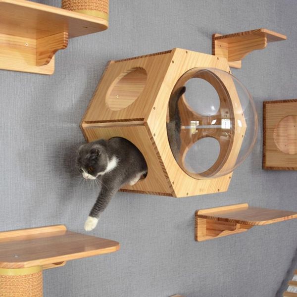 cat toys pet hammock wall mounted durable natural climbing frame suspension bridge ladder solid hanging platform diy toy
cat toys pet hammock wall mounted durable natural climbing frame suspension bridge ladder solid hanging platform diy toy