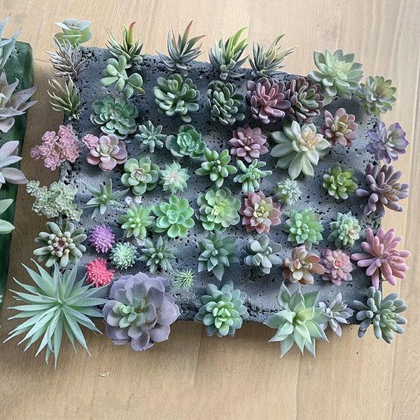 decorative flowers & wreaths 12pcs/set artificial succulents fake faux mini pvc simulated floral plants craft home office decor
decorative flowers & wreaths 12pcs/set artificial succulents fake faux mini pvc simulated floral plants craft home office decor
