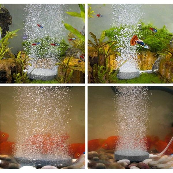 air pumps & accessories high quailty tank accessory stonep aerator aquatic fish for respiration process durable washable with temperature pu
air pumps & accessories high quailty tank accessory stonep aerator aquatic fish for respiration process durable washable with temperature pu
