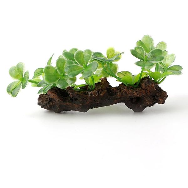 decorations 1pc green aquarium decoration plantas acuario plastic fish tank akvaryum grama artificial plants
decorations 1pc green aquarium decoration plantas acuario plastic fish tank akvaryum grama artificial plants