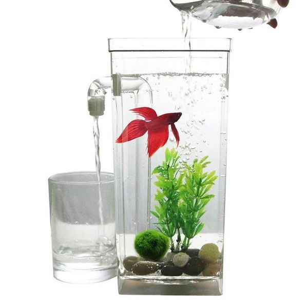 aquariums creative transparent self cleaning mini fish tank with led aquarium cute ecological bowl for kid gifts 
aquariums creative transparent self cleaning mini fish tank with led aquarium cute ecological bowl for kid gifts