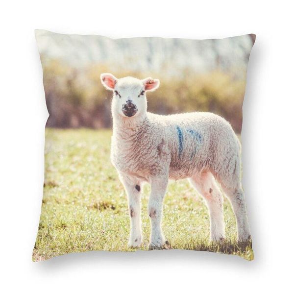 cute lamb cushion cover double-sided print animal throw pillow case for car cool pillowcase home decoration cushion/decorative
cute lamb cushion cover double-sided print animal throw pillow case for car cool pillowcase home decoration cushion/decorative