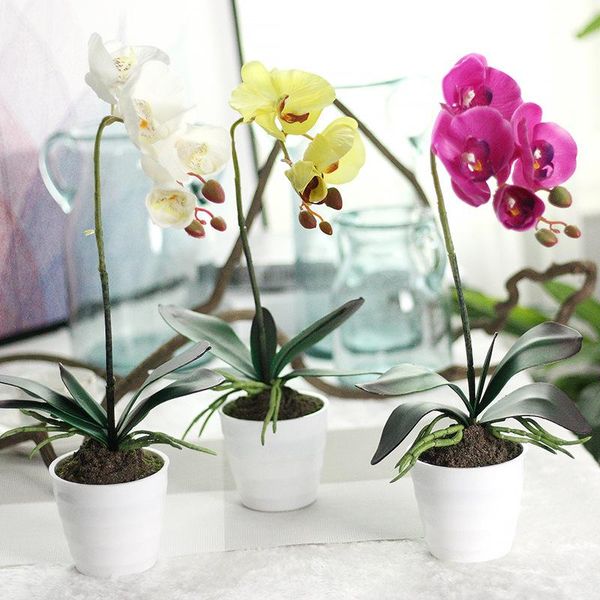artificial bonsai phalaenopsis orchid and vase silk flower wedding floral party decoration fake flowers decorative & wreaths
artificial bonsai phalaenopsis orchid and vase silk flower wedding floral party decoration fake flowers decorative & wreaths