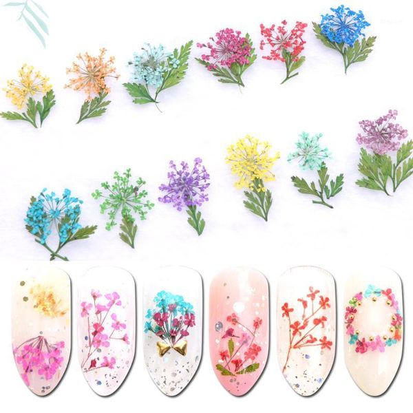 mix dried flowers nail jewelry set diy tips small nails decorations stickers polish manicure tools accessories1, Silver;gold
mix dried flowers nail jewelry set diy tips small nails decorations stickers polish manicure tools accessories1, Silver;gold