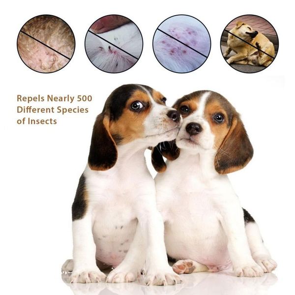 dog collars & leashes adjustable pet cat anti-parasites mite fleas ticks lices forceps mosquitos control reject collar protect gift
dog collars & leashes adjustable pet cat anti-parasites mite fleas ticks lices forceps mosquitos control reject collar protect gift