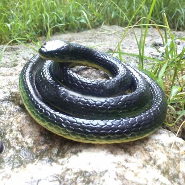 party masks squishy animal toy educational learning toys rubber fake snake snakes bag fillers halloween prop joke soft
party masks squishy animal toy educational learning toys rubber fake snake snakes bag fillers halloween prop joke soft