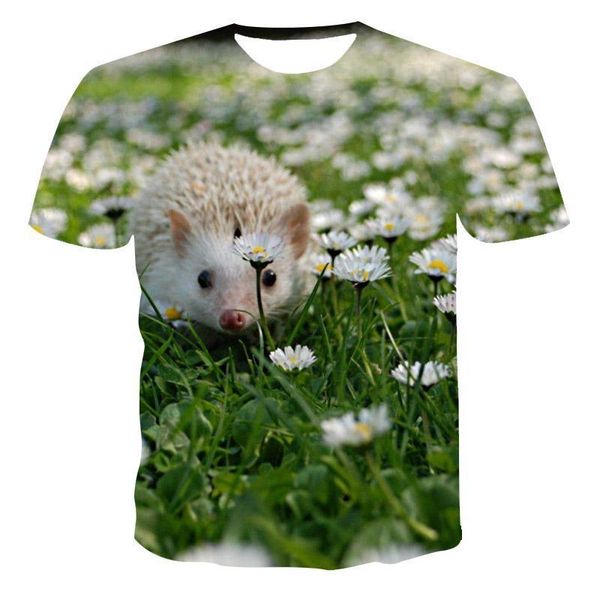men's t-shirts 2021 3d t -shirt hedgehog pattern casual cool printing quick drying ., White;black
men's t-shirts 2021 3d t -shirt hedgehog pattern casual cool printing quick drying ., White;black