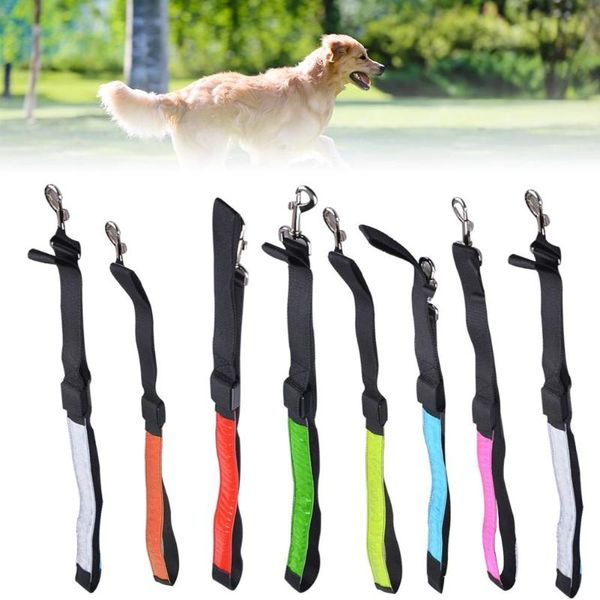 dog collars & leashes led light usb charging model lattice traction belt durable pet supplies colorful luminescence
dog collars & leashes led light usb charging model lattice traction belt durable pet supplies colorful luminescence
