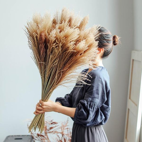 decorative flowers & wreaths 15pcs dried natural pampas grass reed flower wedding marriage decoration accessories bouquet home decors plant
decorative flowers & wreaths 15pcs dried natural pampas grass reed flower wedding marriage decoration accessories bouquet home decors plant