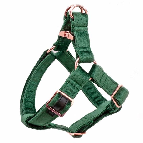 dog collars & leashes dark green velvet harness basic leash adjustable buckle cotton fabric for or cat
dog collars & leashes dark green velvet harness basic leash adjustable buckle cotton fabric for or cat