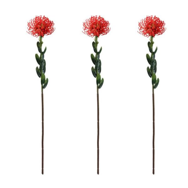 decorative flowers & wreaths artificial bunch chrysanthemum beam bouquet home decoration diy nordic simple arrangement plastic wedding gifts
decorative flowers & wreaths artificial bunch chrysanthemum beam bouquet home decoration diy nordic simple arrangement plastic wedding gifts