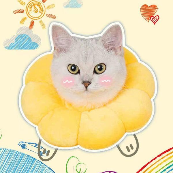 cat collars & leads dog elizabeth circle cute collar bite-proof, scratch-proof and licking-proof adjustable pet
cat collars & leads dog elizabeth circle cute collar bite-proof, scratch-proof and licking-proof adjustable pet