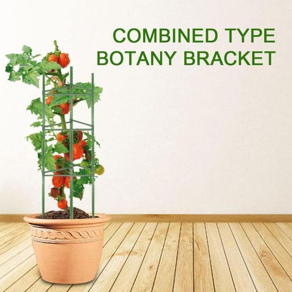 other garden supplies plant shelf climbing stand flower support connector gardening supplie growth protection frame
other garden supplies plant shelf climbing stand flower support connector gardening supplie growth protection frame
