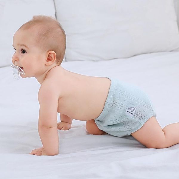 baby cotton training pants pantiesgood for crawling standing and walking diapers reusable cloth washable infan
baby cotton training pants pantiesgood for crawling standing and walking diapers reusable cloth washable infan