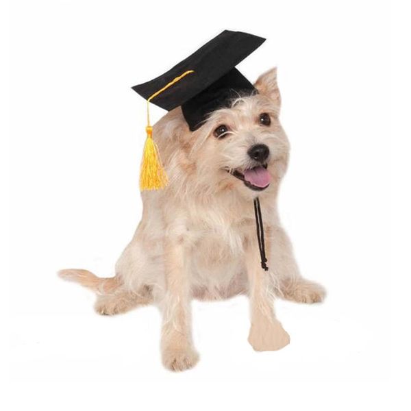 pet graduation caps with yellow tassel dog cat holiday costume halloween dress up promotion apparel
pet graduation caps with yellow tassel dog cat holiday costume halloween dress up promotion apparel