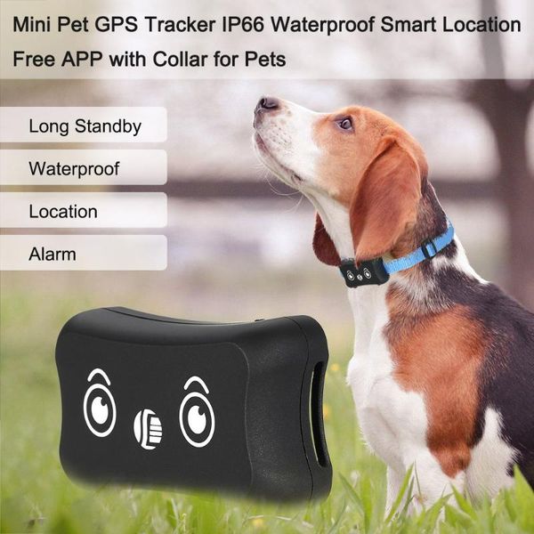 car gps & accessories mini pet tracker ip66 waterproof smart real-time location tracking app with collar for pets have electronic fence
car gps & accessories mini pet tracker ip66 waterproof smart real-time location tracking app with collar for pets have electronic fence