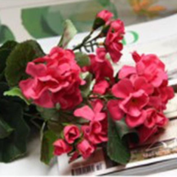 decorative flowers & wreaths artificial geranium red pink plant plants flower for wedding garden home shop
decorative flowers & wreaths artificial geranium red pink plant plants flower for wedding garden home shop