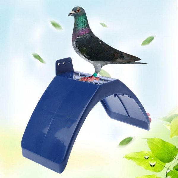bird cages 20 pcs dove rest stand blue frame pigeon perches roost dwelling supplies birds durable quality material pet
bird cages 20 pcs dove rest stand blue frame pigeon perches roost dwelling supplies birds durable quality material pet