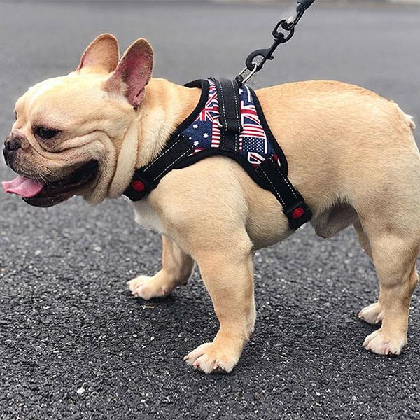 dog collars & leashes collar 1.5m leash small pet large hound outdoor sports vest chest protector traction walking e11
dog collars & leashes collar 1.5m leash small pet large hound outdoor sports vest chest protector traction walking e11