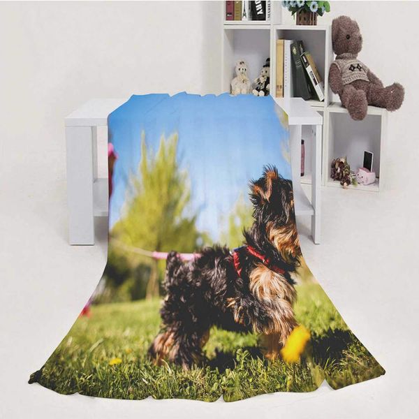 cute yorkshire puppy,flannel fleece throw blanket, weight super soft cozy pbed blanket 40''x50''(wxl)
cute yorkshire puppy,flannel fleece throw blanket, weight super soft cozy pbed blanket 40''x50''(wxl)