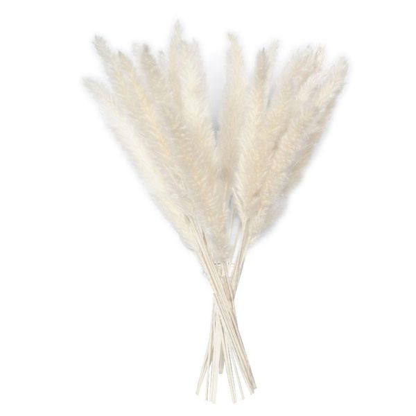 reed grass dried flowers pampas phragmites flower bunch wedding party decoration wall home decorative & wreaths
reed grass dried flowers pampas phragmites flower bunch wedding party decoration wall home decorative & wreaths