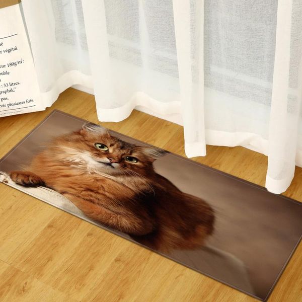 carpets kitchen entrance doormat simplicity living room bedroom carpet decoration bathroom anti-slip floor children's tatami balcony ru
carpets kitchen entrance doormat simplicity living room bedroom carpet decoration bathroom anti-slip floor children's tatami balcony ru