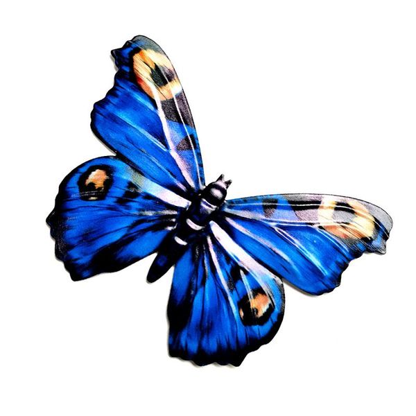 decorative objects & figurines 3d metal butterfly decor inspirational wall sculpture patio garden decoration living room corridor terrace se
decorative objects & figurines 3d metal butterfly decor inspirational wall sculpture patio garden decoration living room corridor terrace se