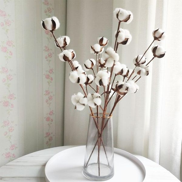 decorative flowers & wreaths 1 stem 7 heads natural cotton branch dried stems widding decor flower plants artificial flowes bouquet home
decorative flowers & wreaths 1 stem 7 heads natural cotton branch dried stems widding decor flower plants artificial flowes bouquet home