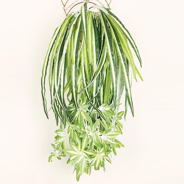 decorative flowers & wreaths 60cm artificial plants wall hanging chlorophytum potted green pvc fake simulation flower living room decor
decorative flowers & wreaths 60cm artificial plants wall hanging chlorophytum potted green pvc fake simulation flower living room decor