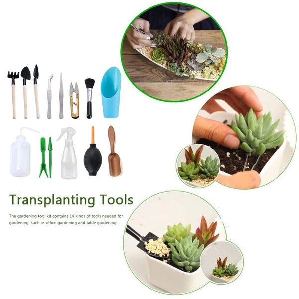 14pcs garden transplant seedling tool household potted bonsai fertilizer planting set succulent helper planters & pots
14pcs garden transplant seedling tool household potted bonsai fertilizer planting set succulent helper planters & pots