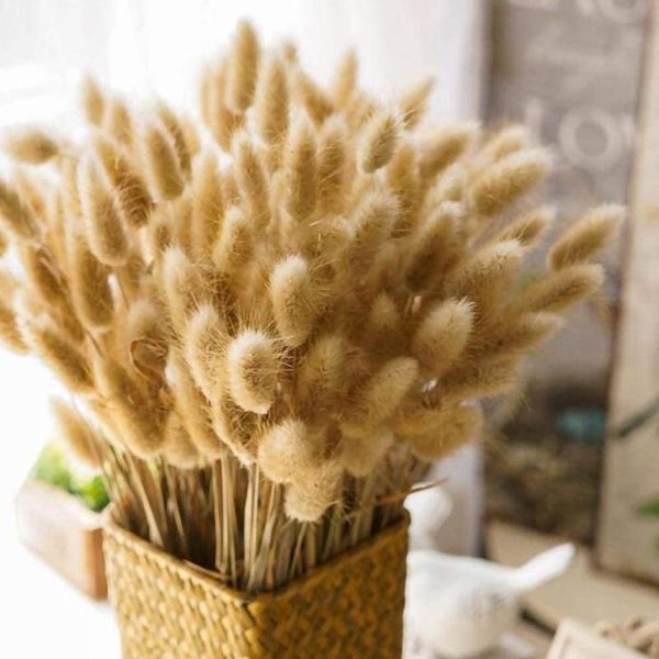 decorative flowers & wreaths 1bunch dried flower tail natural plants floral grass decoration bouquet flores pography props home
decorative flowers & wreaths 1bunch dried flower tail natural plants floral grass decoration bouquet flores pography props home