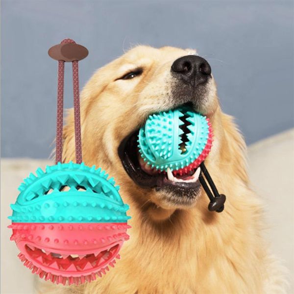 dog toys & chews pet food ball dispenser for dogs stretch rubber leaking interactive chew tooth cleaning balls with bell
dog toys & chews pet food ball dispenser for dogs stretch rubber leaking interactive chew tooth cleaning balls with bell