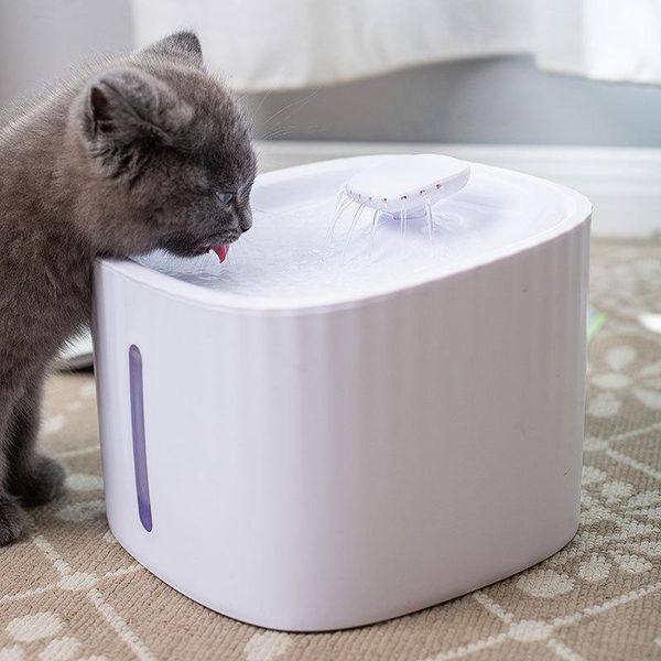 cat bowls & feeders 1pcs water 3l automatic fountain with led lights dog dispenser transparent filter drinker pet usb plug drinking feeder
cat bowls & feeders 1pcs water 3l automatic fountain with led lights dog dispenser transparent filter drinker pet usb plug drinking feeder