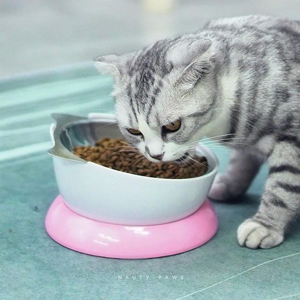 stainless steel pet cat bowl with 15 degree anti-skid holder inclined feeder bowls & feeders
stainless steel pet cat bowl with 15 degree anti-skid holder inclined feeder bowls & feeders