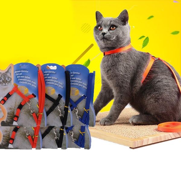 cat collars & leads dog collar harness with leash adjustable for kitten kitty puppy pet product supplies accessories
cat collars & leads dog collar harness with leash adjustable for kitten kitty puppy pet product supplies accessories