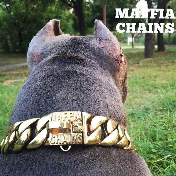 dog collars & leashes metal stainless steel collar chain martingale high-end custom show bully dogs doberman adjustable safety
dog collars & leashes metal stainless steel collar chain martingale high-end custom show bully dogs doberman adjustable safety