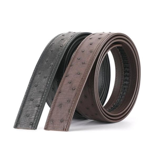 belts men's business leisure south africa ostrich leather waist belt automatic buckle cinturon cintura uomo cintos, Black;brown
belts men's business leisure south africa ostrich leather waist belt automatic buckle cinturon cintura uomo cintos, Black;brown