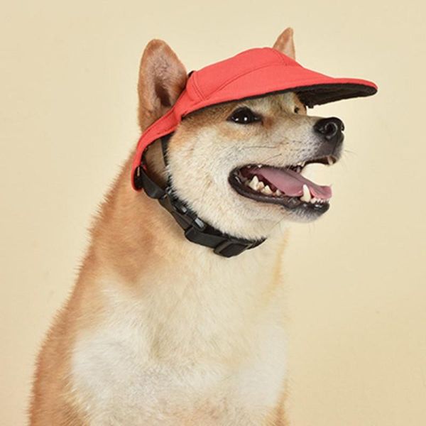 summer pet dog hat small puppy pets cap baseball outdoor accessories chihuahua #b apparel
summer pet dog hat small puppy pets cap baseball outdoor accessories chihuahua #b apparel